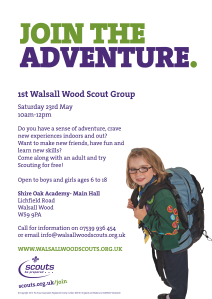 Walsall wood flyer